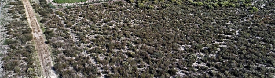 1 Bedroom Property for Sale in Hartebeesfontein Western Cape